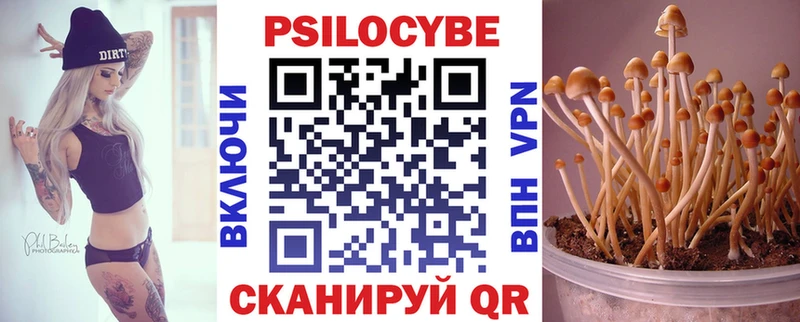 Псилоцибиновые грибы GOLDEN TEACHER Химки