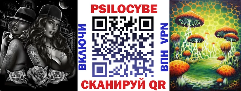 Галлюциногенные грибы Psilocybe  Химки 