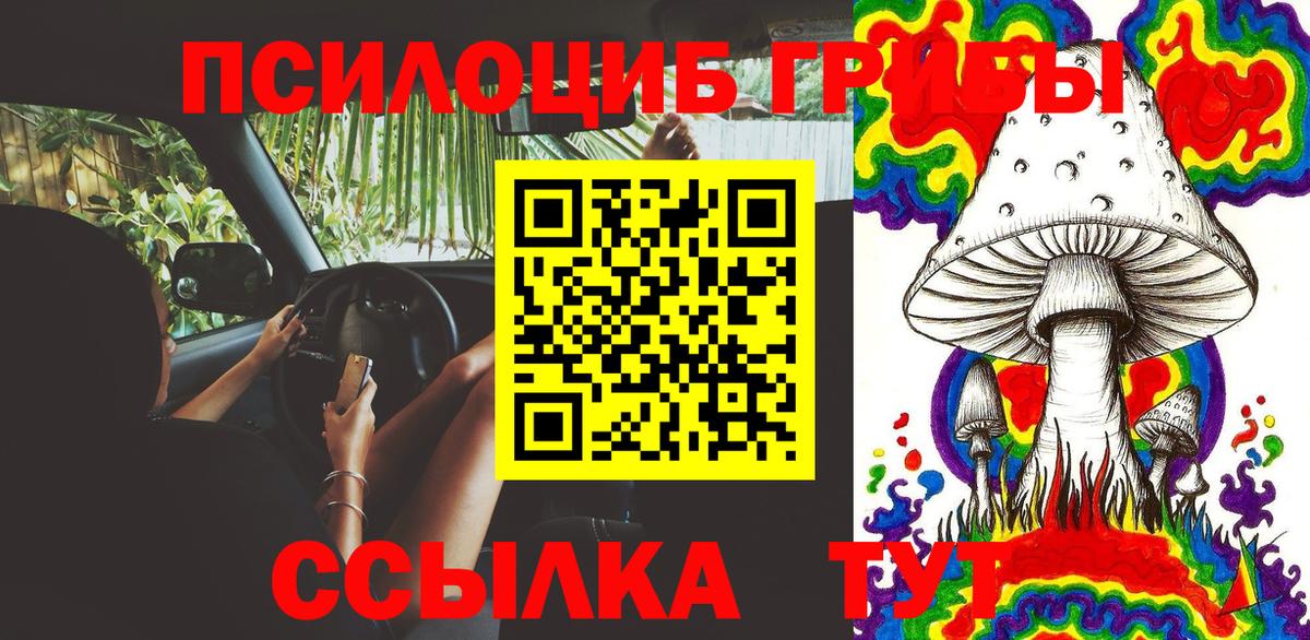 Псилоцибиновые грибы Cubensis  Вход с VPN  магазин продажи наркотиков  Псилоцибиновые грибы Cubensis  Химки 