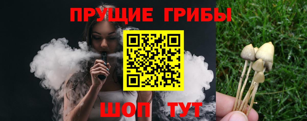 Псилоцибиновые грибы мицелий Химки