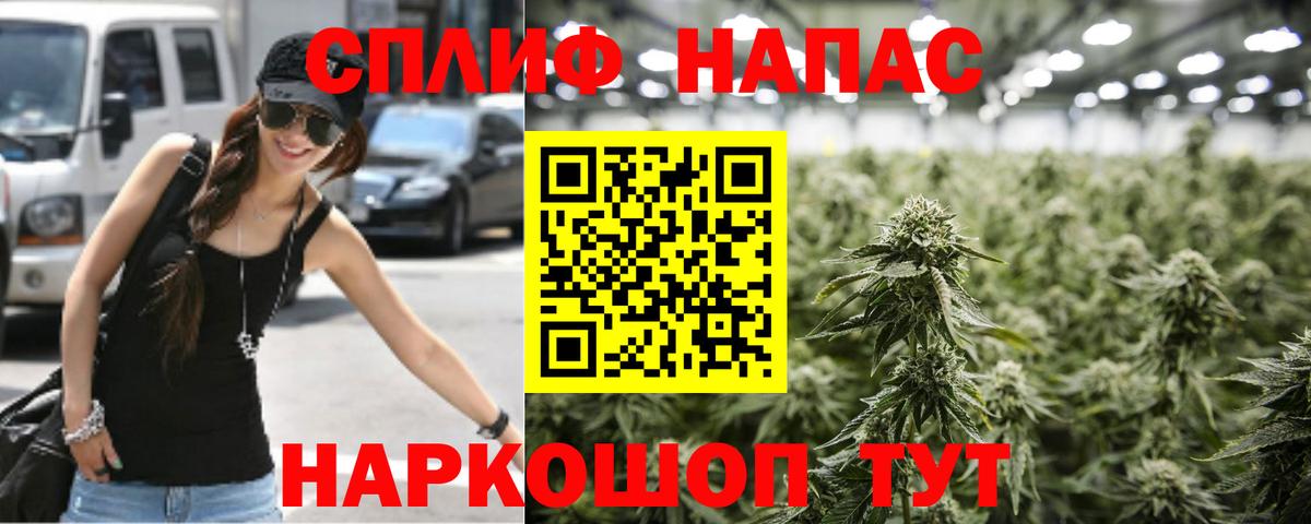 Марихуана план  Конопля Amnesia  Вход с VPN  Химки  Бошки марихуана индика  Шишки марихуана ГИДРОПОН 