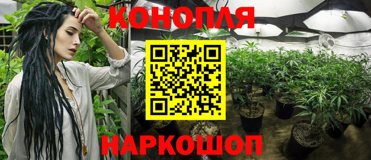 Бошки марихуана VHQ Химки
